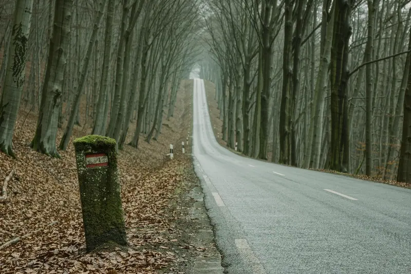 An empty two-lane road climbing through bare beech woods north of the city under flat grey light, a crash barrier along the outside of the bend.