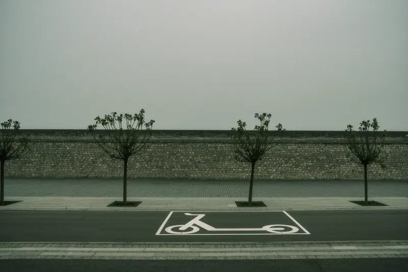 A paved riverside path under plane trees with a marked parking bay on the ground, no people, flat grey light.